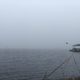 Illustration for article titled Foggy day